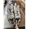 Image 2 : 2 Blue Ranch Fox Soft Tanned Furs Taxidermy