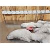Image 3 : 2 Blue Ranch Fox Soft Tanned Furs Taxidermy