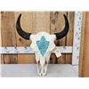 Image 1 : American Bison Buffalo Skull Taxidermy