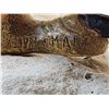 Image 11 : 100% Reproduction Bald Eagle Taxidermy By Majestic Animal Reproductions