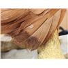 Image 6 : 100% Reproduction Bald Eagle Taxidermy By Majestic Animal Reproductions