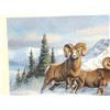 Image 2 : C.E. Pearson Oil On Canvas Painting Bighorn Sheep