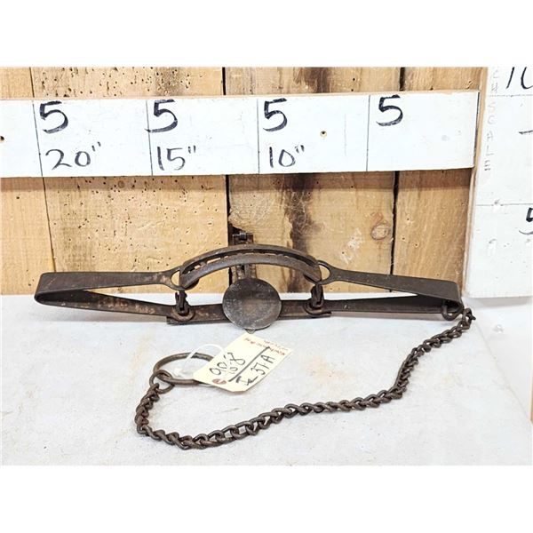 Oneida Newhouse Animal Trap Company #14 Double Long Spring Trap