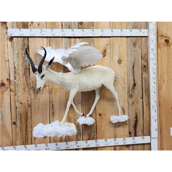 Pegasus The Flying African Springbok Full Body Taxidermy Mount
