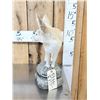 Image 4 : African Fennec Fox Full Body Taxidermy Mount