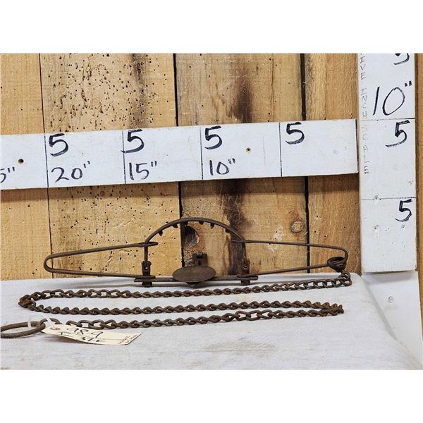 Oneida Newhouse Animal Trap Company # 48 Double Long Spring Trap With Teeth