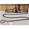 Image 2 : Oneida Newhouse Animal Trap Company # 48 Double Long Spring Trap With Teeth