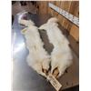 Image 3 : 2 White Ranch Fox Soft Tanned Furs Taxidermy