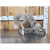 Image 1 : Ranch Fox Pup At Play Full Body Taxidermy Mount