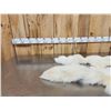 Image 3 : 2 White Ranch Fox Soft Tanned Furs Taxidermy