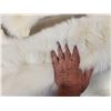 Image 5 : 2 White Ranch Fox Soft Tanned Furs Taxidermy