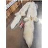 Image 6 : 2 White Ranch Fox Soft Tanned Furs Taxidermy