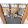 Image 3 : Pair Of Scaled Blue Quail In End Table Display Bird Taxidermy