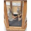 Image 6 : Pair Of Scaled Blue Quail In End Table Display Bird Taxidermy