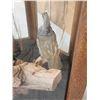 Image 7 : Pair Of Scaled Blue Quail In End Table Display Bird Taxidermy
