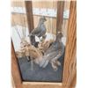 Image 8 : Pair Of Scaled Blue Quail In End Table Display Bird Taxidermy