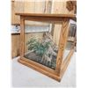 Image 3 : Big Bobcat In Oak Display Case Taxidermy