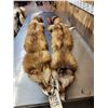 Image 1 : 2 Big Red Fox Soft Tanned Furs Taxidermy
