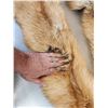 Image 4 : 2 Big Red Fox Soft Tanned Furs Taxidermy