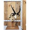 Image 1 : Jacob's 4 Horn Sheep Pedestal Taxidermy Mount