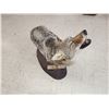 Image 6 : Howling Coyote Full Body Taxidermy Mount