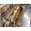 Image 4 : 2 Red Fox Soft Tanned Furs Taxidermy