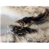 Image 4 : 2 Badger Soft Tanned Fur Taxidermy