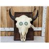 Image 1 : American Bison Buffalo Skull Taxidermy