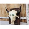 Image 3 : American Bison Buffalo Skull Taxidermy