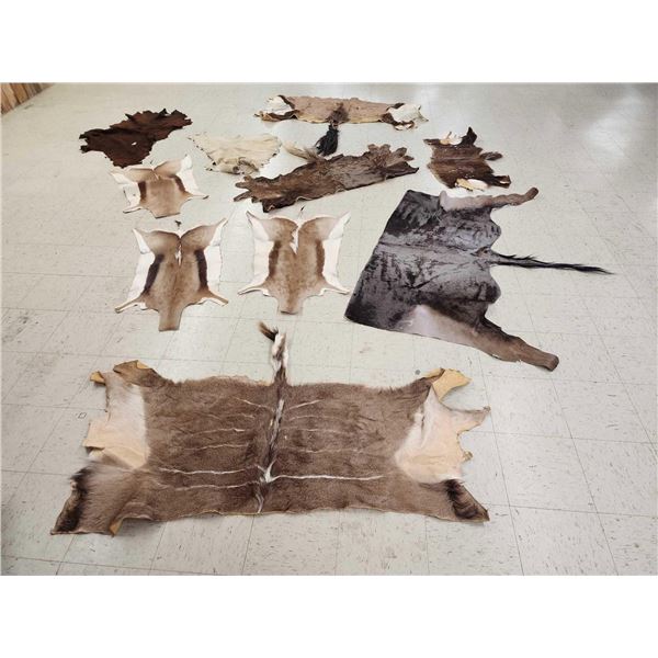 African Tanned Skins Lot Taxidermy