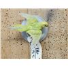 Image 2 : Parakeet In Flight Bird Taxidermy