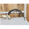 Image 1 : African Sable Antelope Skull Taxidermy