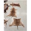 Image 2 : African Tanned Skins Lot
