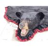 Image 10 : Black Bear Rug Taxidermy