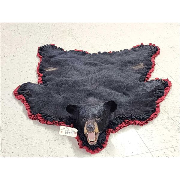 Black Bear Rug Taxidermy