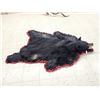 Image 2 : Black Bear Rug Taxidermy