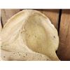 Image 3 : Reproduction Gorilla Skull Taxidermy