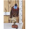 Image 1 : Strutting Temminck's Tragopan Pheasant Full Body Bird Taxidermy