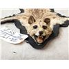 Image 3 : African Genet Rug Taxidermy
