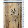 Image 1 : African Reedbuck Shoulder Mount Taxidermy