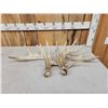 Image 4 : Set Of Big Nontypical Whitetail Shed Antlers