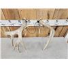 Image 5 : Set Of Main Frame 4x5 Whitetail Shed Antlers