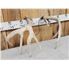 Image 7 : Set Of Main Frame 4x5 Whitetail Shed Antlers
