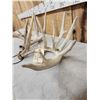 Image 3 : Big Set Of Nontypical Whitetail Shed Antlers