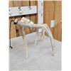 Image 7 : Big Set Of Nontypical Whitetail Shed Antlers