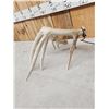 Image 8 : Big Set Of Nontypical Whitetail Shed Antlers