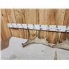 Image 4 : 15.2 Lbs Of Moose Antlers