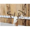 Image 4 : Main Frame 4x4 Whitetail Antlers On Skull & Stand
