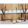 Image 1 : 5x5 Mule Deer Antlers On Skull Plate