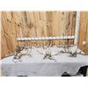 Image 1 : 6 Matched Sets Of Whitetail Antlers